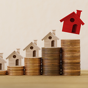 房屋资产管理处